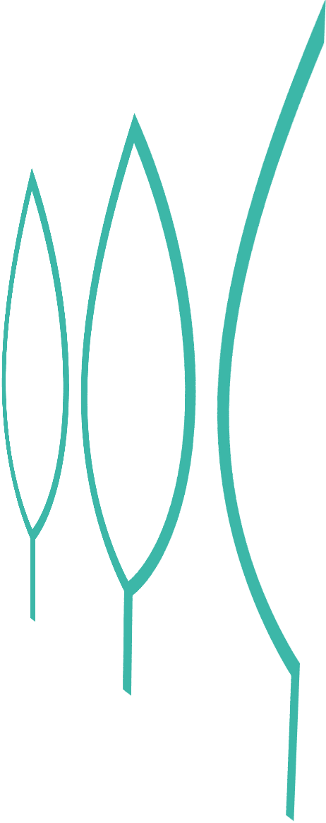 Icona-dicono-di-noi-studi-Montagna