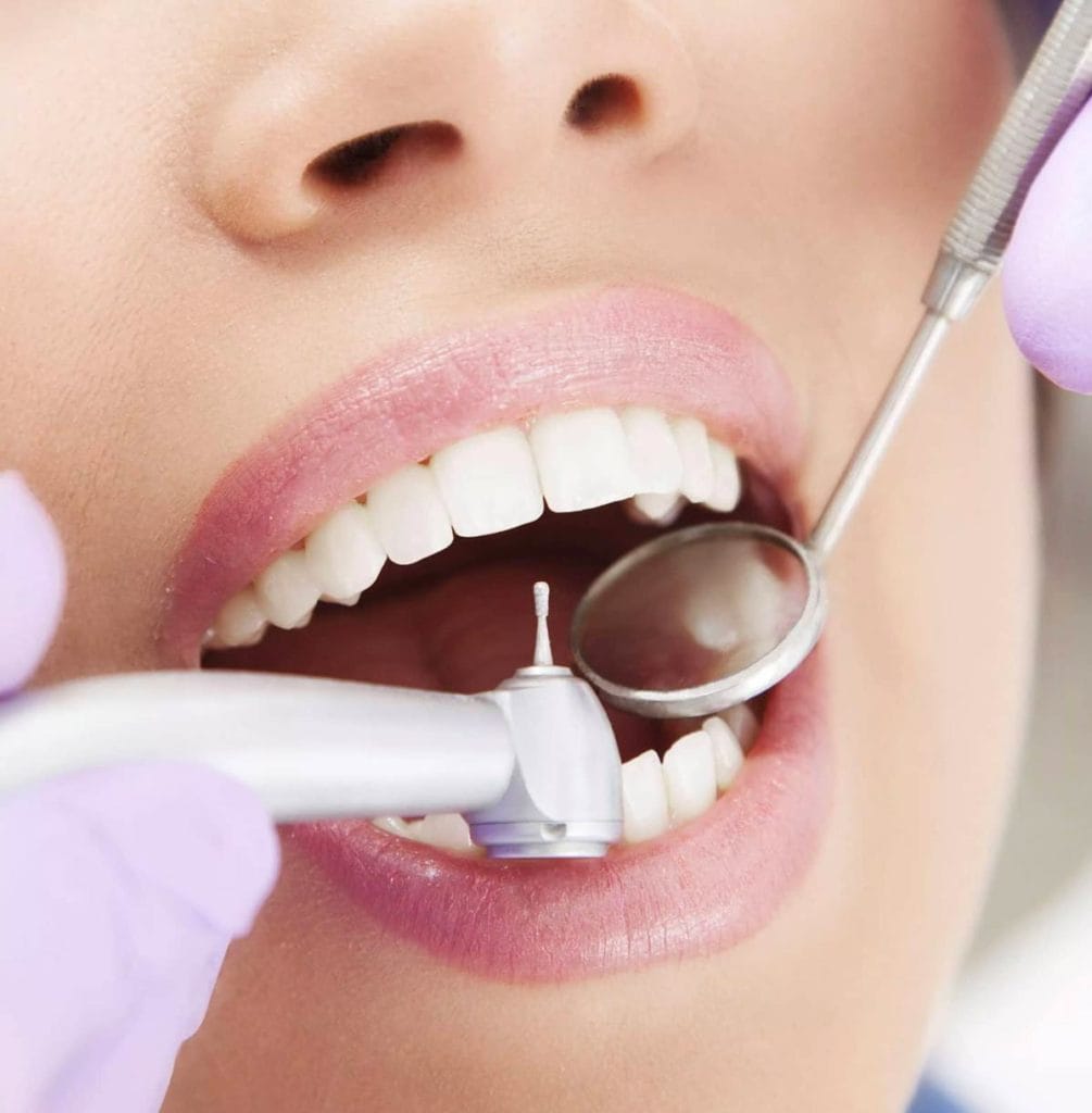 Conservativa-Studi-Montagna Verona